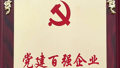 東佳信榮獲寶安區(qū)第四批“黨建百強企業(yè)”