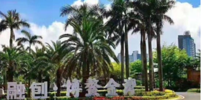 【海南】融創(chuàng)金成博鰲金灣WDZCN-BYJ、ZC-BV家裝電線采購項目--東佳信電纜