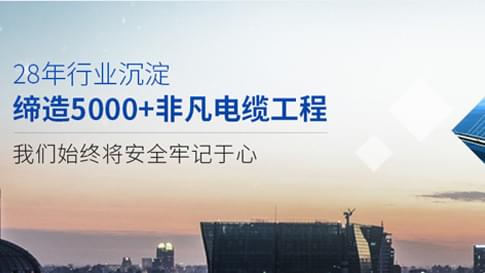 東佳信28年行業(yè)沉淀